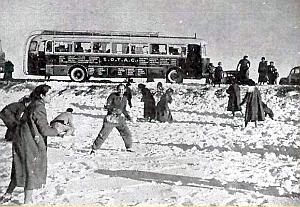 Oran- SDV- 6044